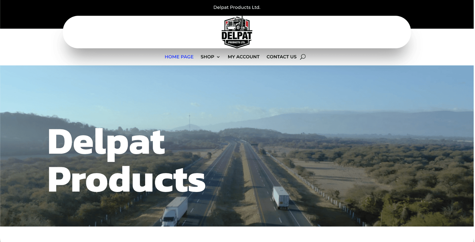 Delpat website preview