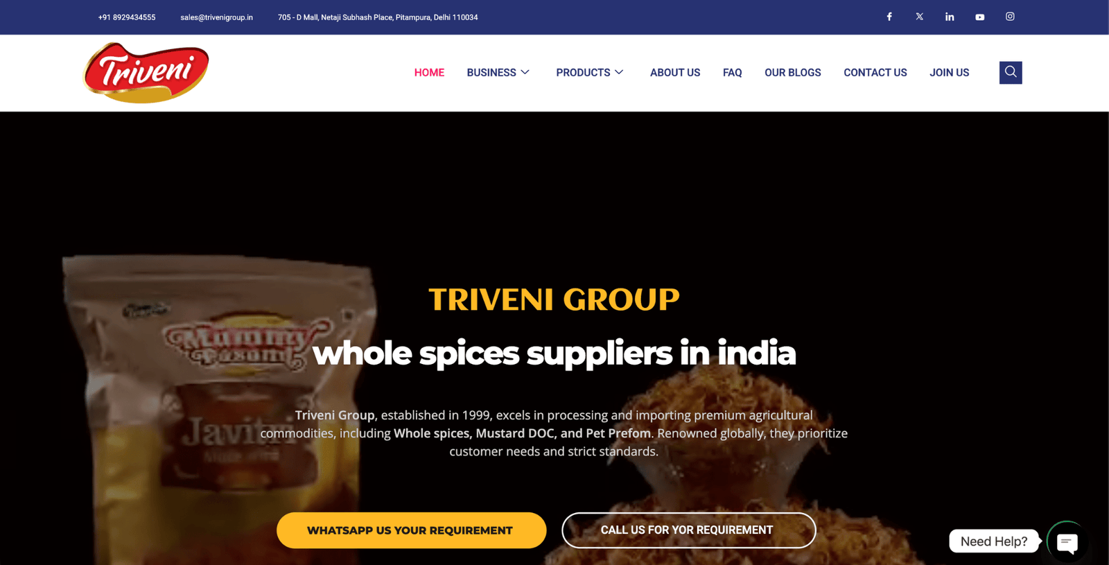 Triveni website preview